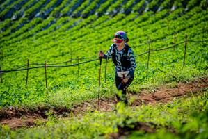 BIB: 
                            <button type="button" onclick="openModal(19162026)" class="btn btn-primary btn-sm float-right btn-popup" data-toggle="modal" data-target=".modal-high-quality">
                        <i class="fas fa-shopping-cart"></i> Add to Cart
                    </button>
                                            <button type="button" onclick="isThisMe(19162026, true)" class="btn btn-success btn-sm float-right btn-popup btn-isme hidden" data-toggle="tooltip" data-placement="bottom" title="นี่คือรูปของคุณใช่ไหม คลิกที่นี่เพื่อเอาเข้าอัลบั้ม">
                        <i class="fas fa-plus"></i> Add to album
                    </button>
                    <button type="button" onclick="isThisMe(19162026, false)" class="btn btn-warning btn-sm float-right btn-popup btn-isnotme hidden">
                        <i class="fas fa-ban"></i> Remove from album
                    </button>